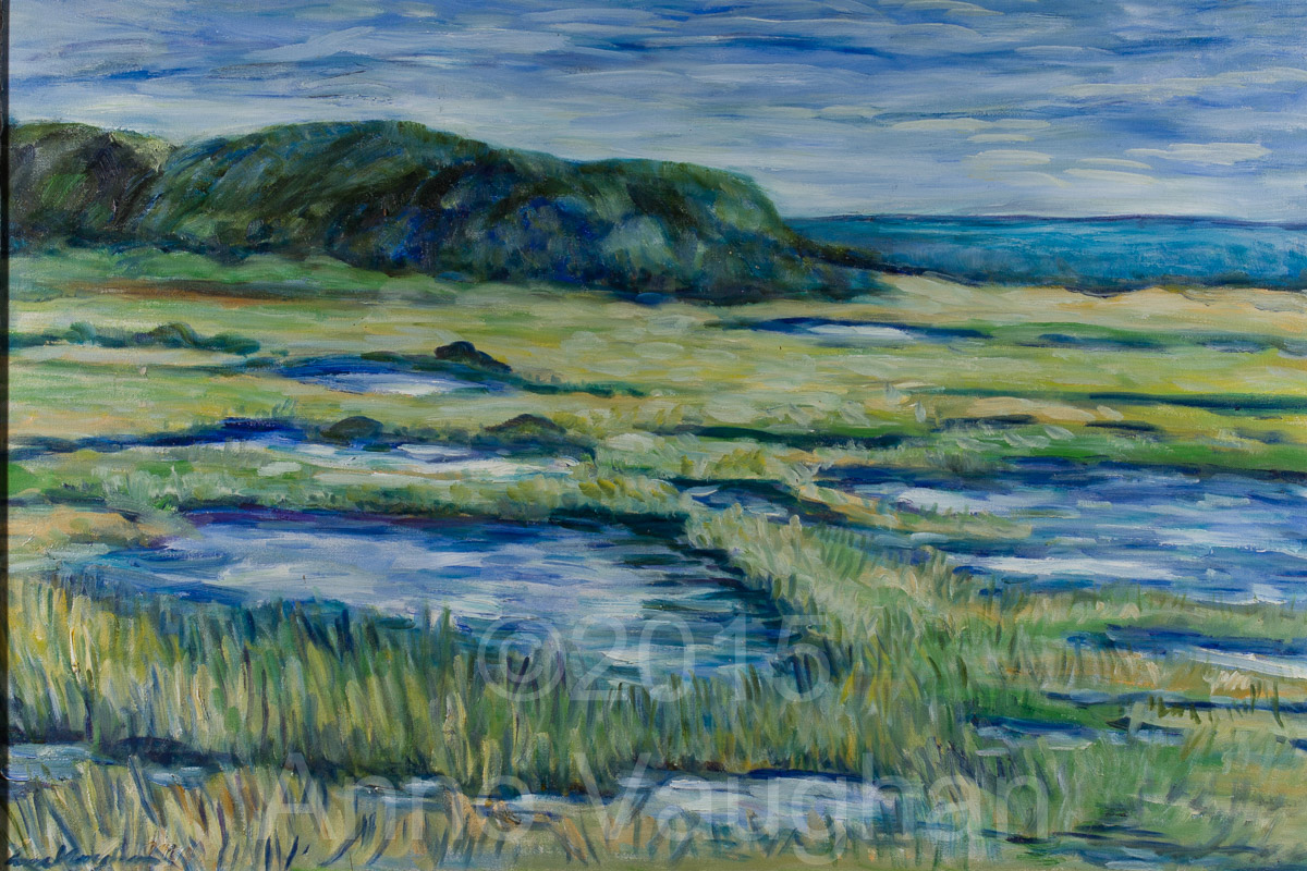 Saltmarsh